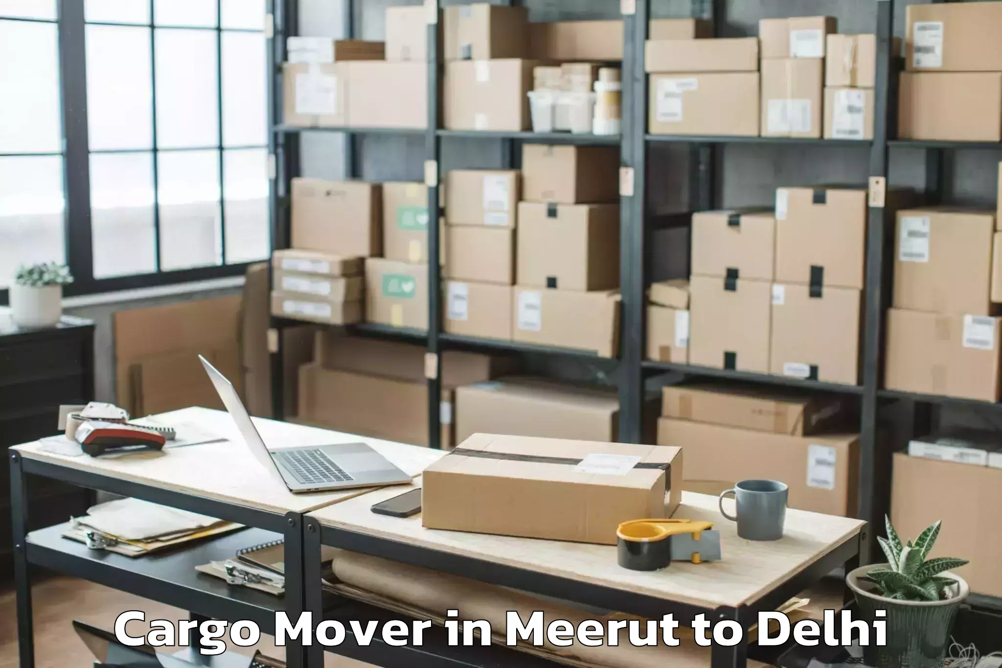 Expert Meerut to Delhi Technological University Cargo Mover